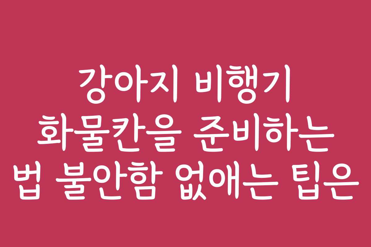 강아지 비행기 화물칸을 준비하는 법 불안함 없애는 팁은