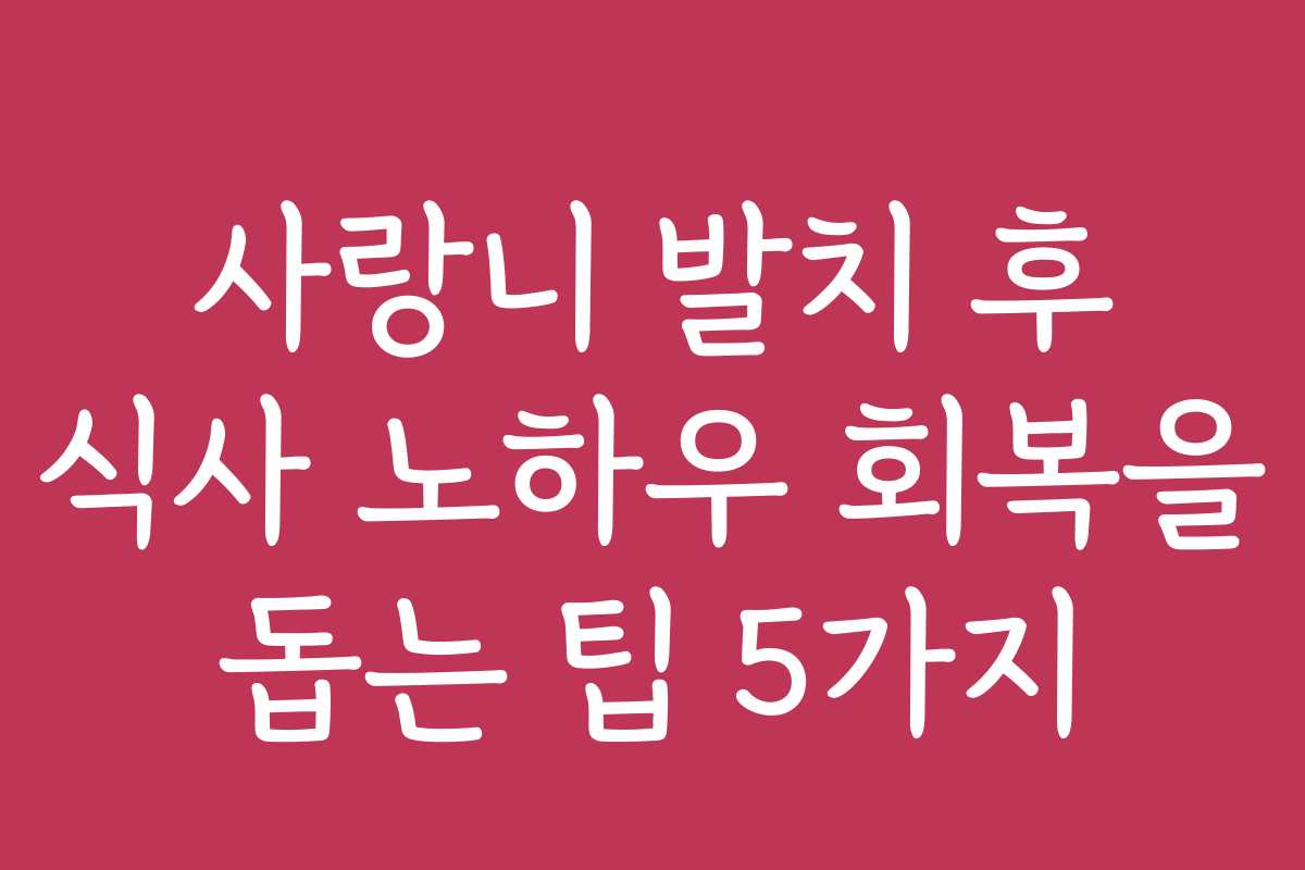 사랑니 발치 후 식사 노하우 회복을 돕는 팁 5가지