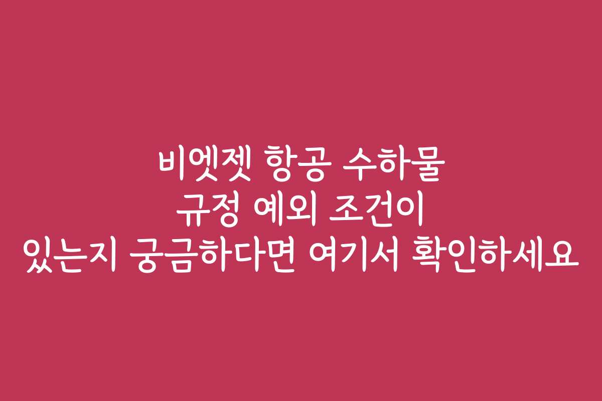 비엣젯 항공 수하물 규정 예외 조건이 있는지 궁금하다면 여기서 확인하세요