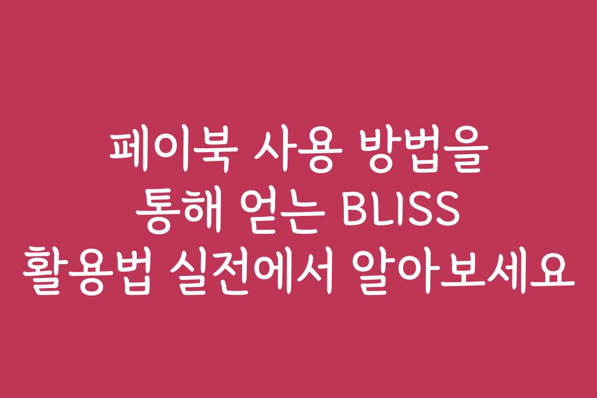 페이북 사용 방법을 통해 얻는 BLISS 활용법 실전에서 알아보세요