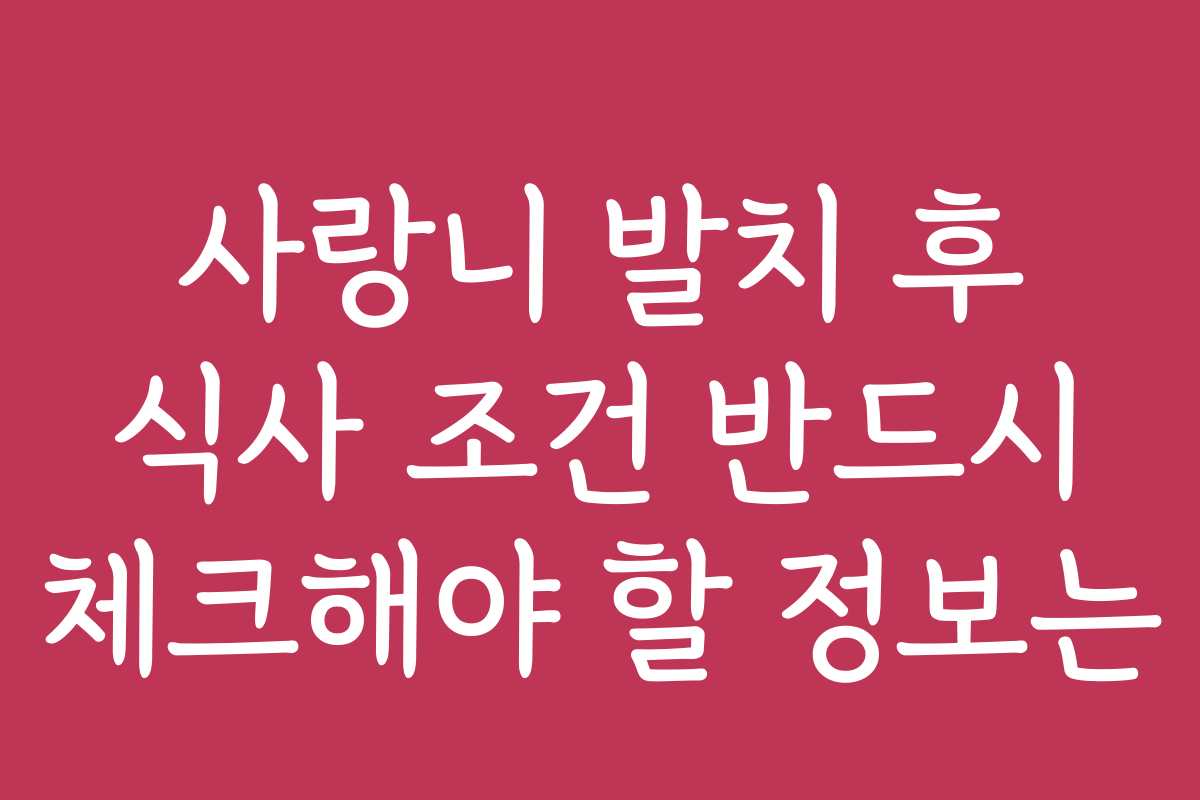 사랑니 발치 후 식사 조건 반드시 체크해야 할 정보는