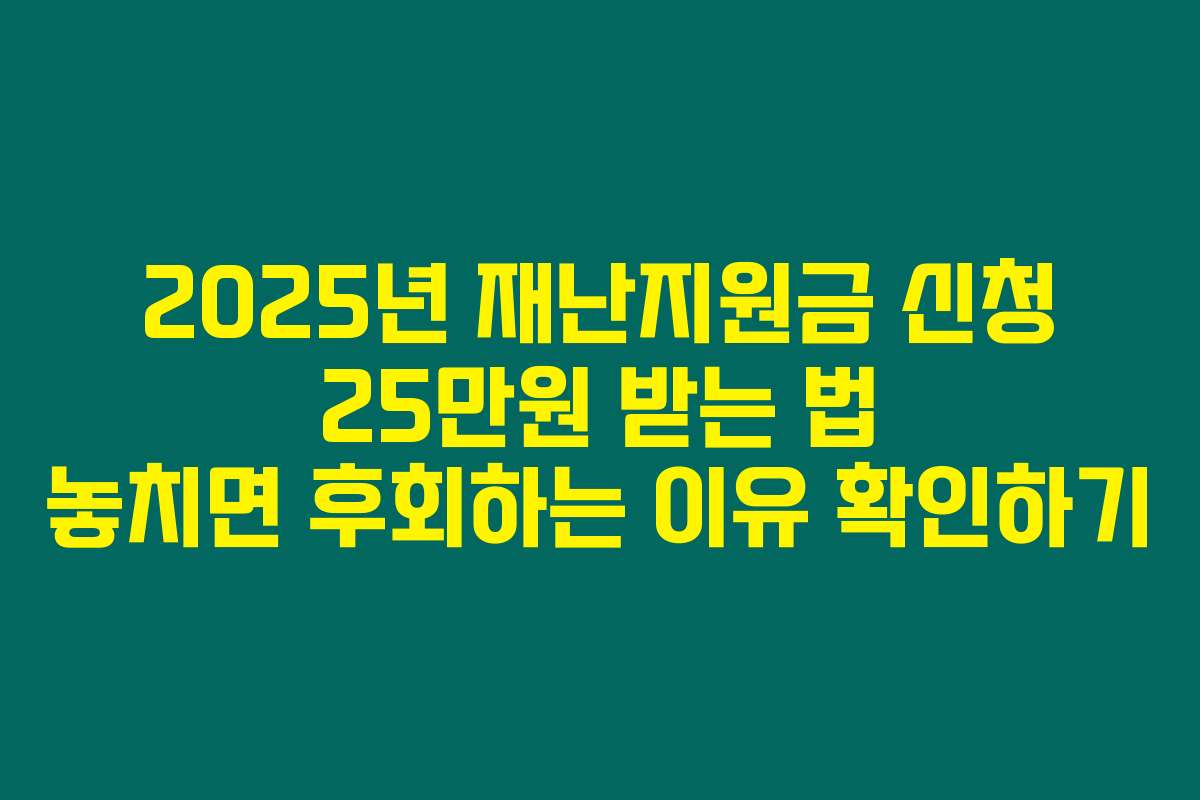 2025년 재난지원금 신청 25만원 받는 법 놓치면 후회하는 이유 확인하기