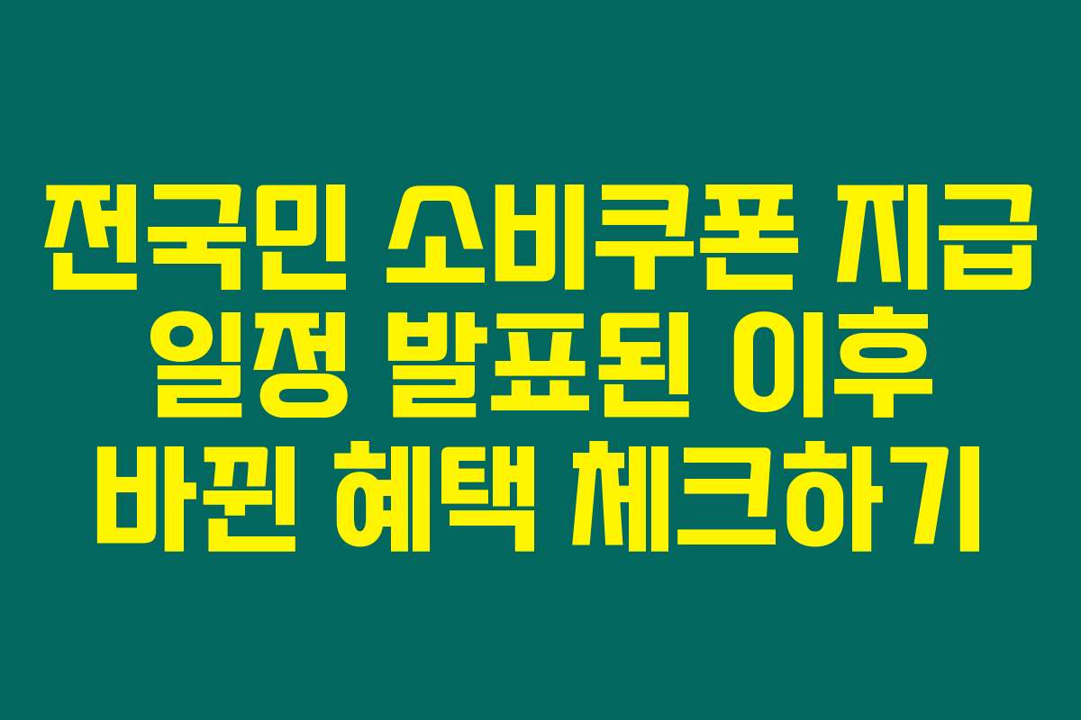 전국민 소비쿠폰 지급 일정 발표된 이후 바뀐 혜택 체크하기