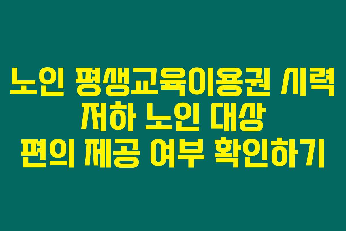 노인 평생교육이용권 시력 저하 노인 대상 편의 제공 여부 확인하기