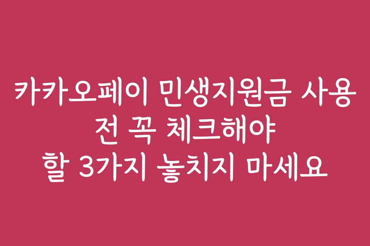 카카오페이 민생지원금 사용 전 꼭 체크해야 할 3가지 놓치지 마세요