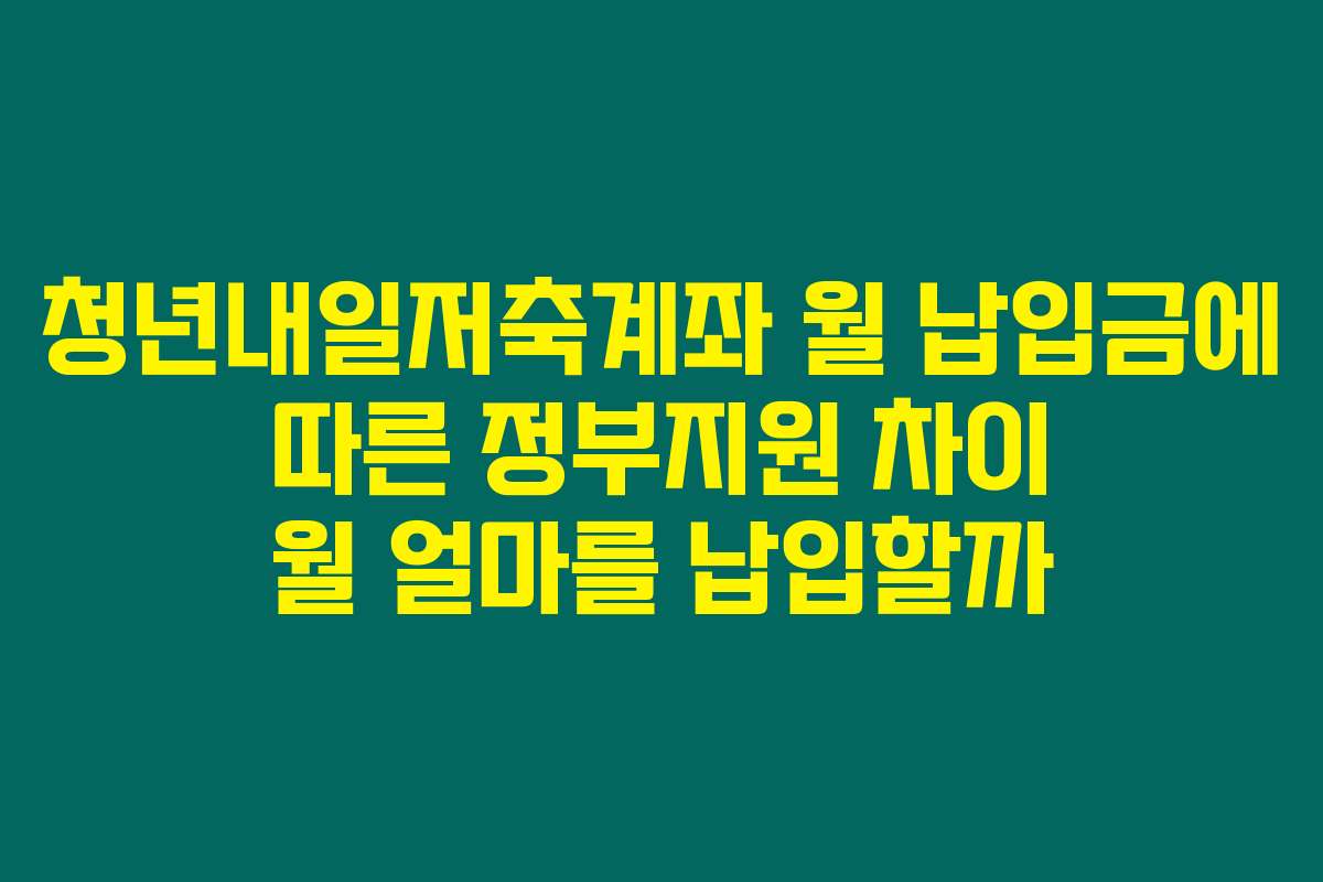 청년내일저축계좌 월 납입금에 따른 정부지원 차이 월 얼마를 납입할까
