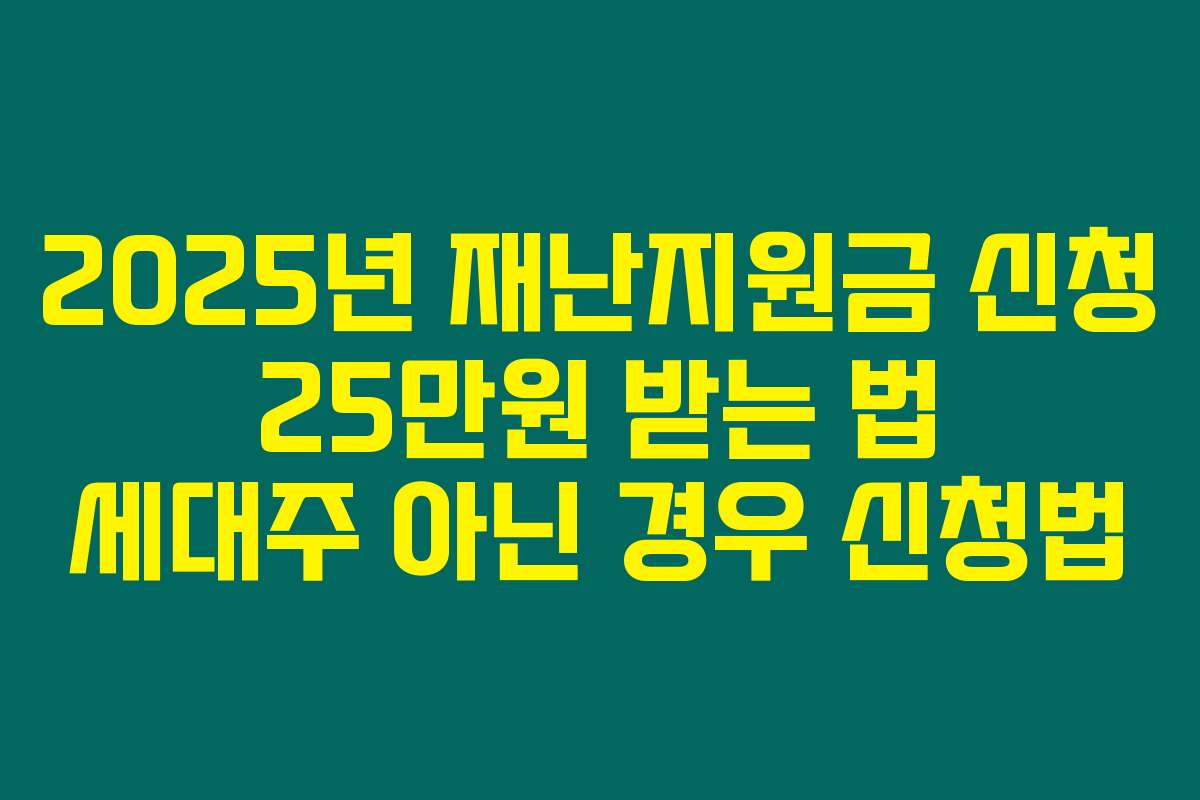2025년 재난지원금 신청 25만원 받는 법 세대주 아닌 경우 신청법