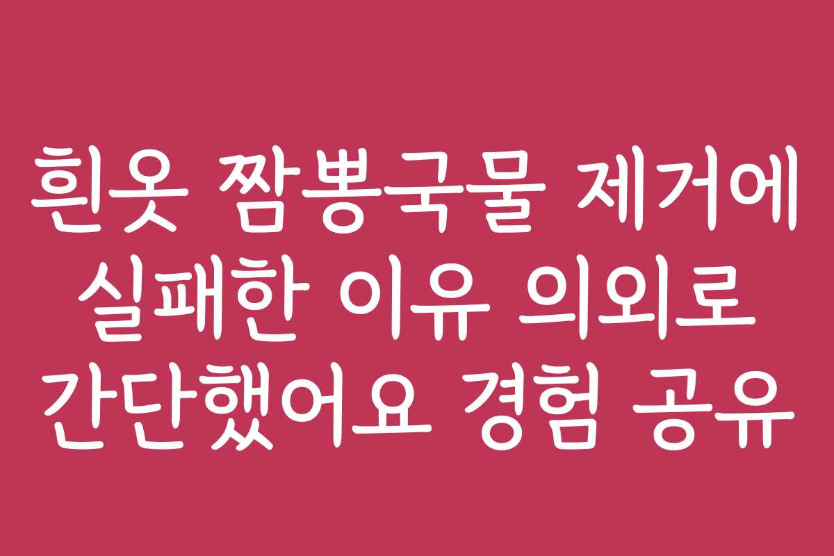 흰옷 짬뽕국물 제거에 실패한 이유 의외로 간단했어요 경험 공유