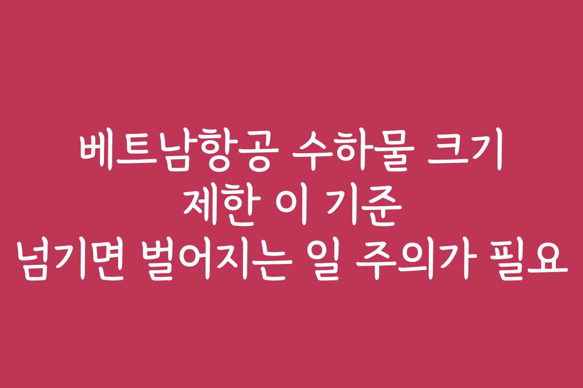 베트남항공 수하물 크기 제한 이 기준 넘기면 벌어지는 일 주의가 필요