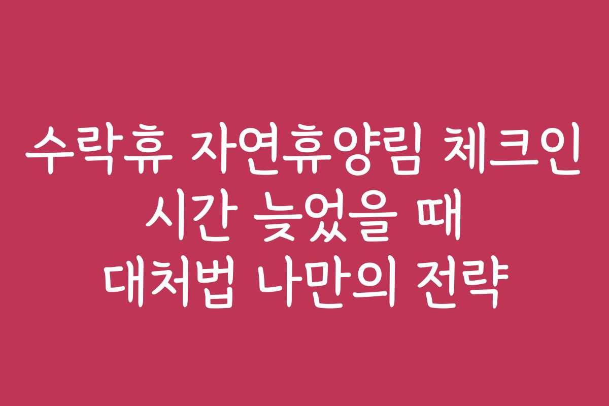 수락휴 자연휴양림 체크인 시간 늦었을 때 대처법 나만의 전략