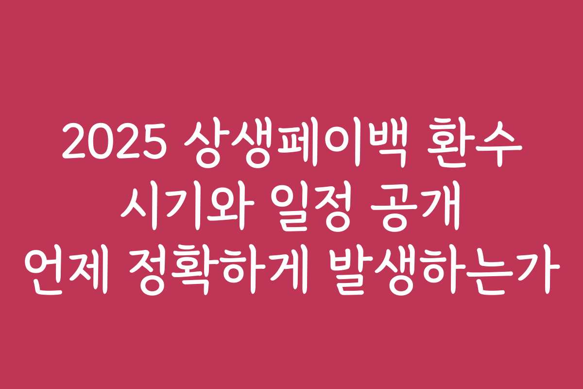 2025 상생페이백 환수 시기와 일정 공개 언제 정확하게 발생하는가