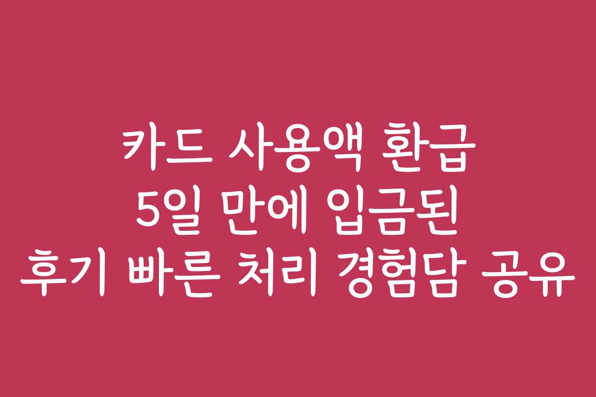 카드 사용액 환급 5일 만에 입금된 후기 빠른 처리 경험담 공유