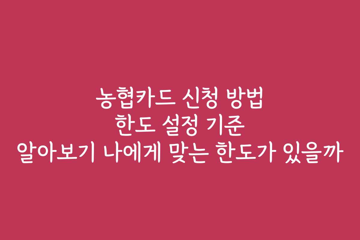 농협카드 신청 방법 한도 설정 기준 알아보기 나에게 맞는 한도가 있을까