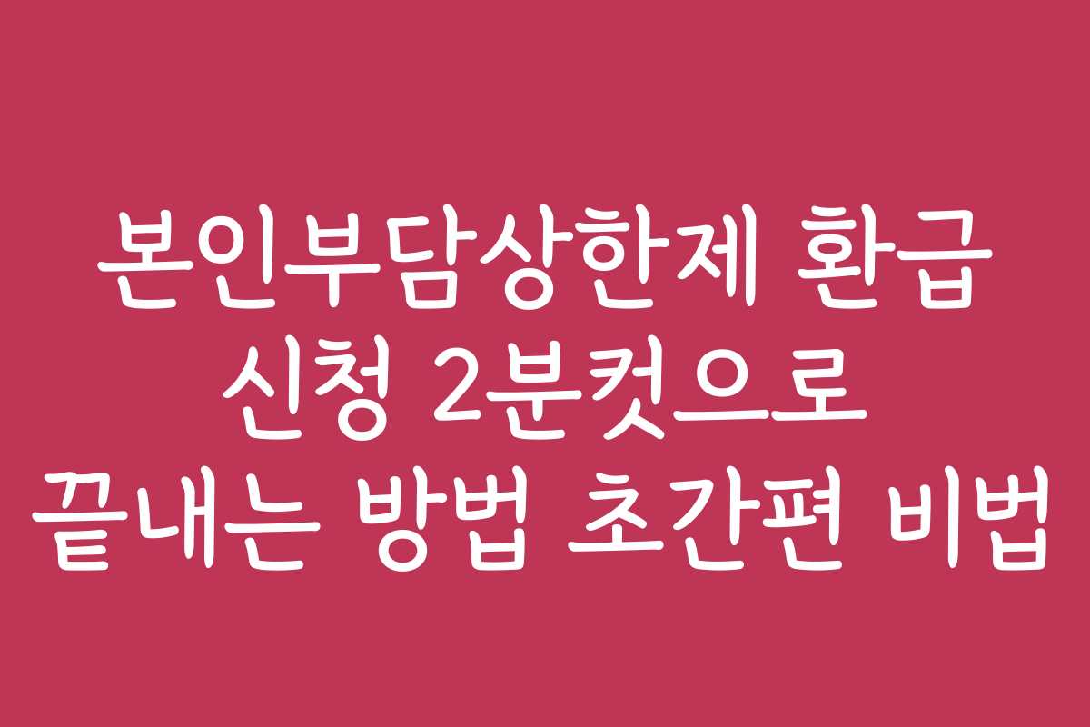 본인부담상한제 환급 신청 2분컷으로 끝내는 방법 초간편 비법