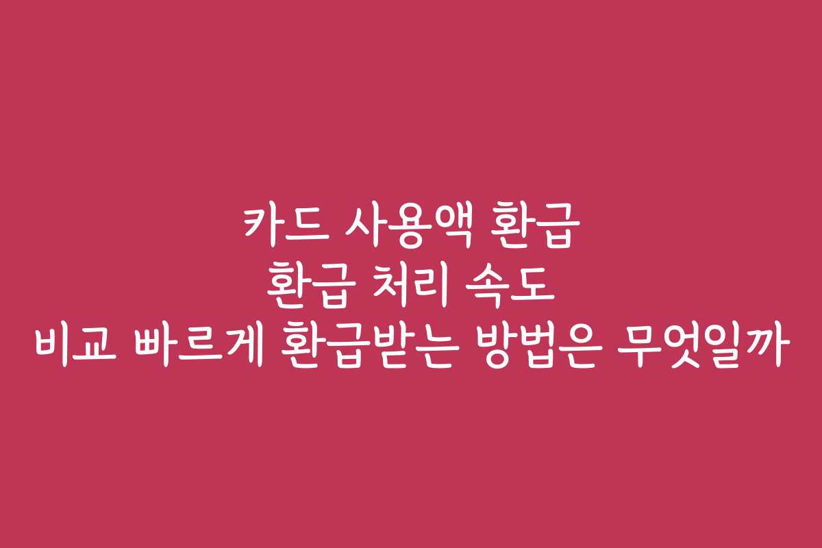 카드 사용액 환급 환급 처리 속도 비교 빠르게 환급받는 방법은 무엇일까