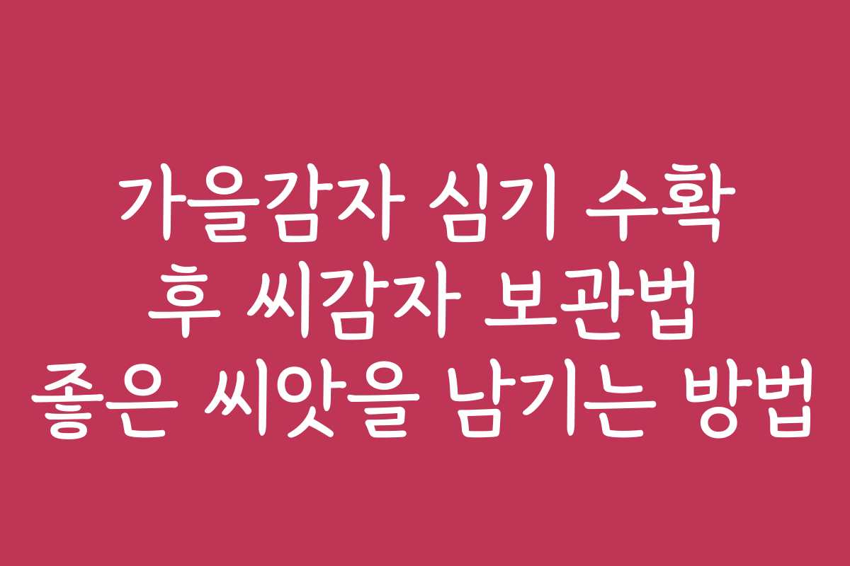 가을감자 심기 수확 후 씨감자 보관법 좋은 씨앗을 남기는 방법