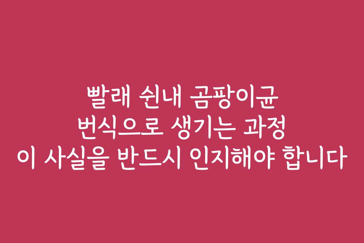 빨래 쉰내 곰팡이균 번식으로 생기는 과정 이 사실을 반드시 인지해야 합니다
