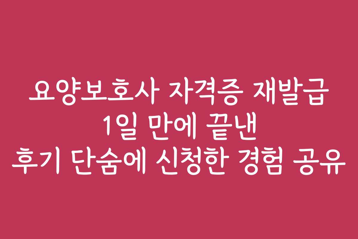 요양보호사 자격증 재발급 1일 만에 끝낸 후기 단숨에 신청한 경험 공유