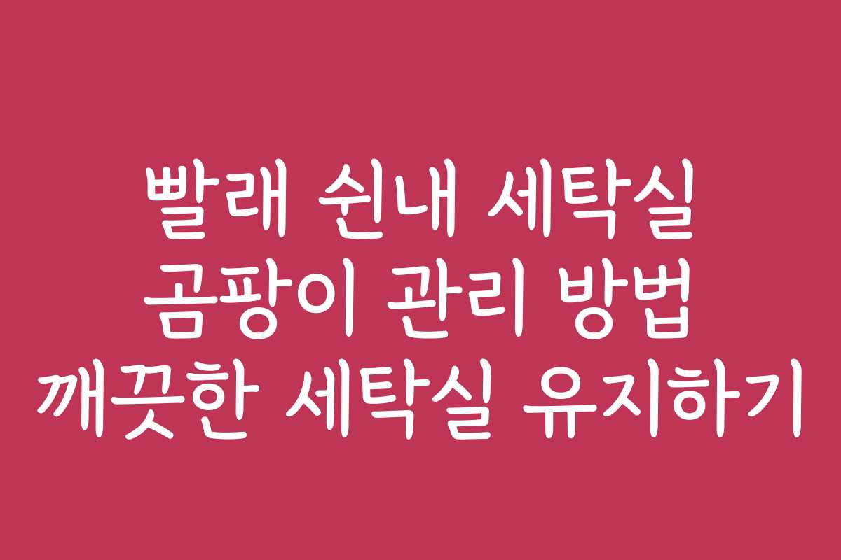 빨래 쉰내 세탁실 곰팡이 관리 방법 깨끗한 세탁실 유지하기