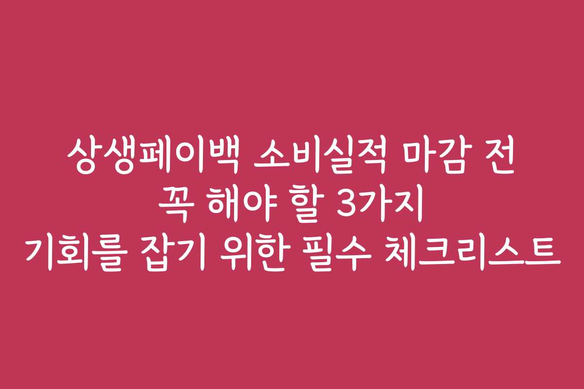 상생페이백 소비실적 마감 전 꼭 해야 할 3가지 기회를 잡기 위한 필수 체크리스트