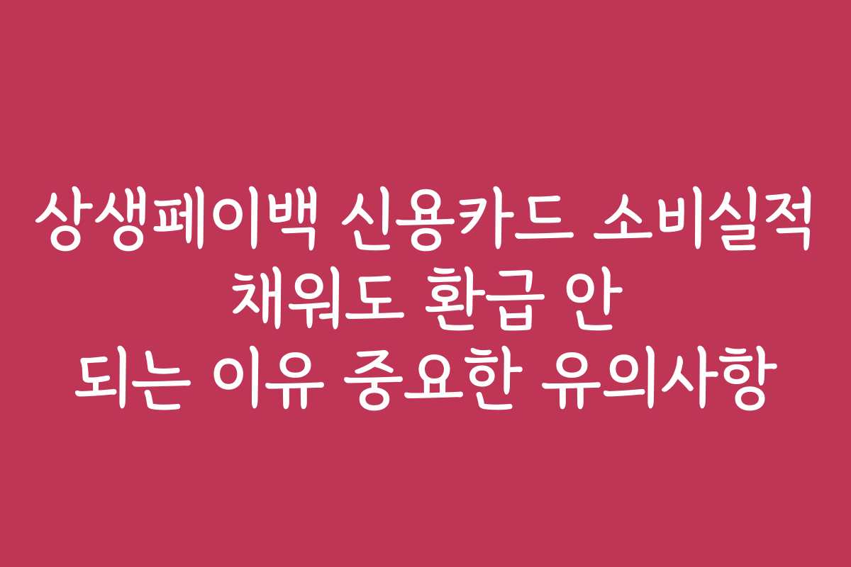 상생페이백 신용카드 소비실적 채워도 환급 안 되는 이유 중요한 유의사항