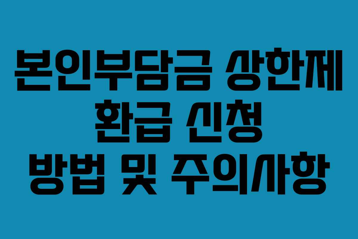 본인부담금 상한제 환급 신청 방법 및 주의사항
