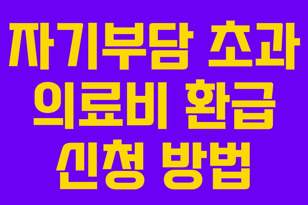 자기부담 초과 의료비 환급 신청 방법