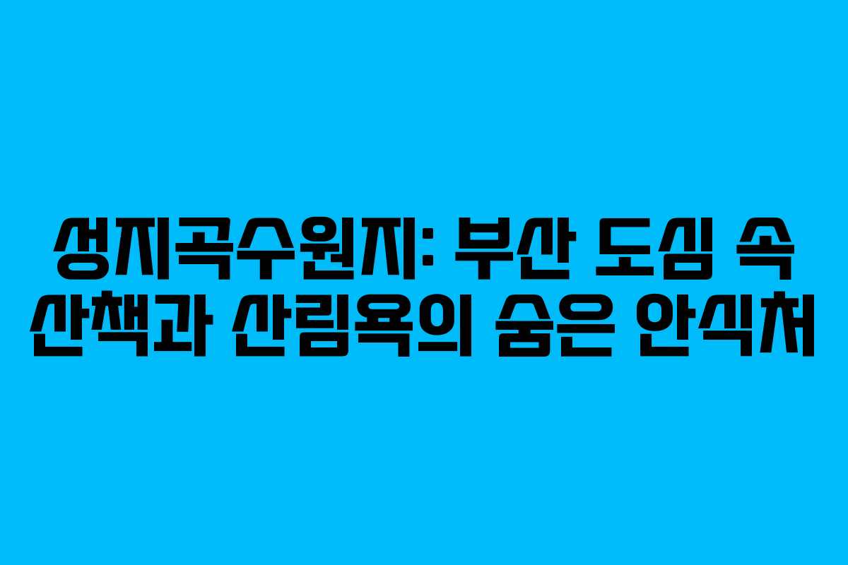 성지곡수원지: 부산 도심 속 산책과 산림욕의 숨은 안식처