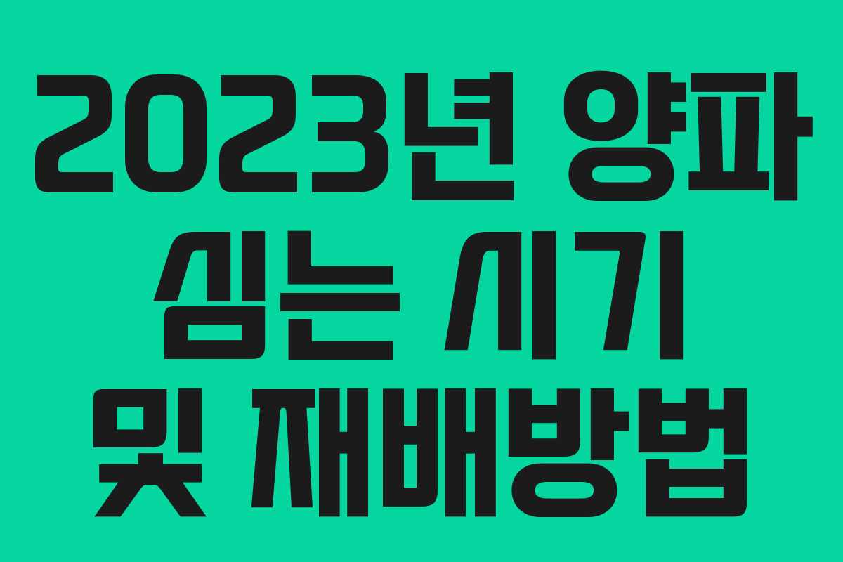 2023년 양파 심는 시기 및 재배방법 2023년 양파 심는 시기 및 재배방법