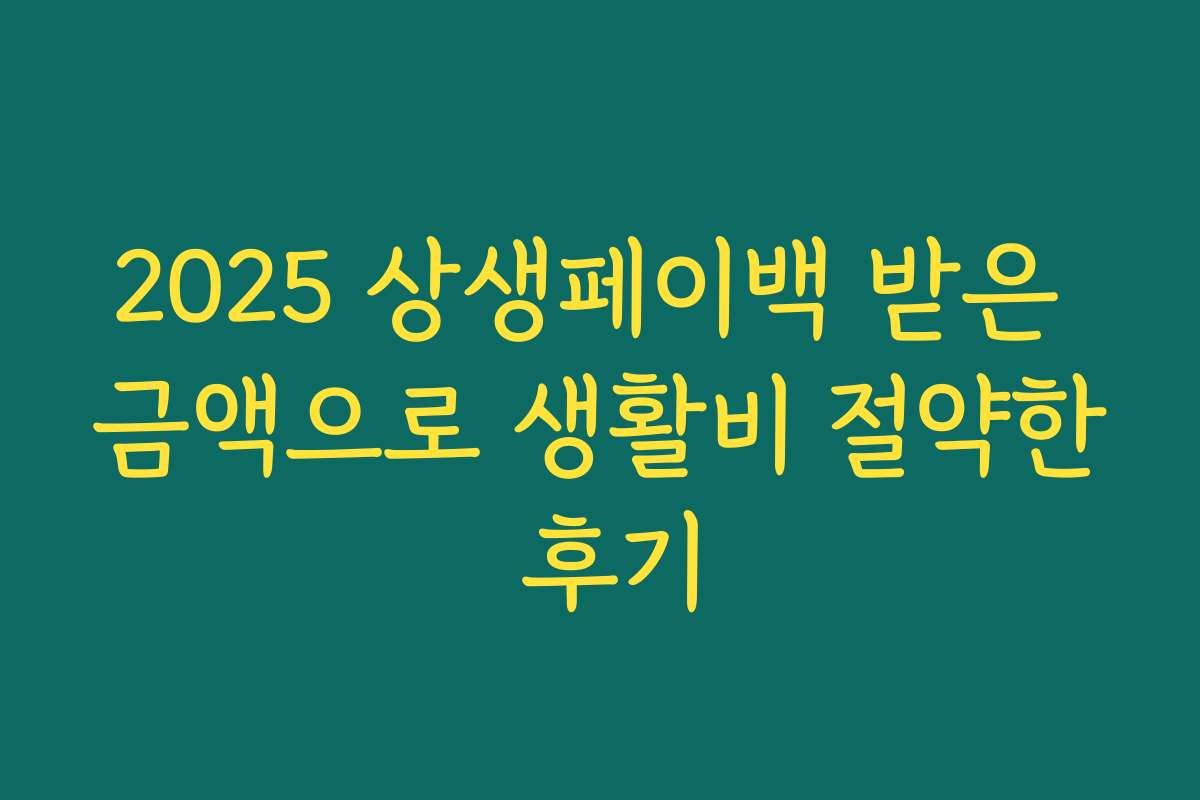 2025 상생페이백 받은 금액으로 생활비 절약한 후기 2025 상생페이백 받은 금액으로 생활비 절약한 후기