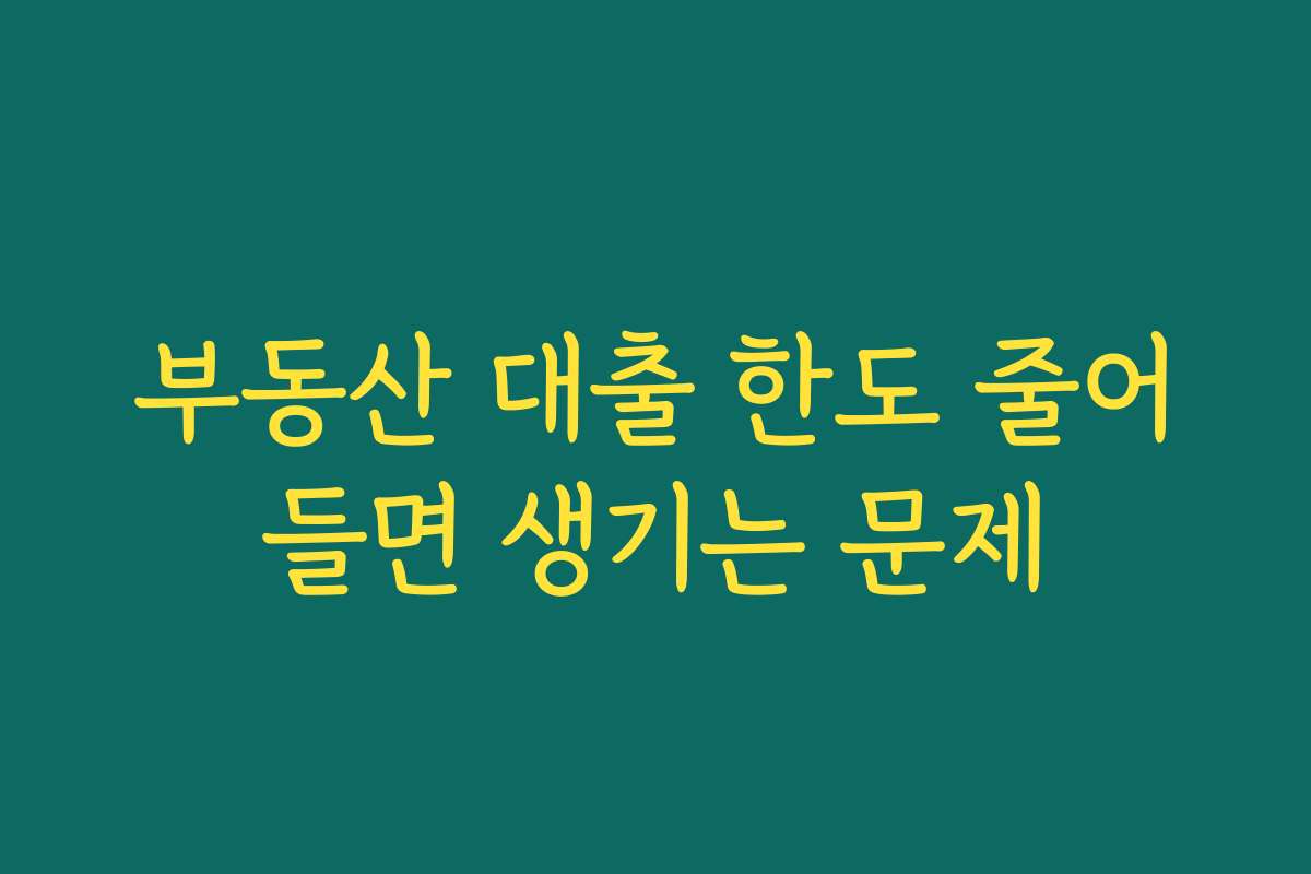 부동산 대출 한도 줄어들면 생기는 문제