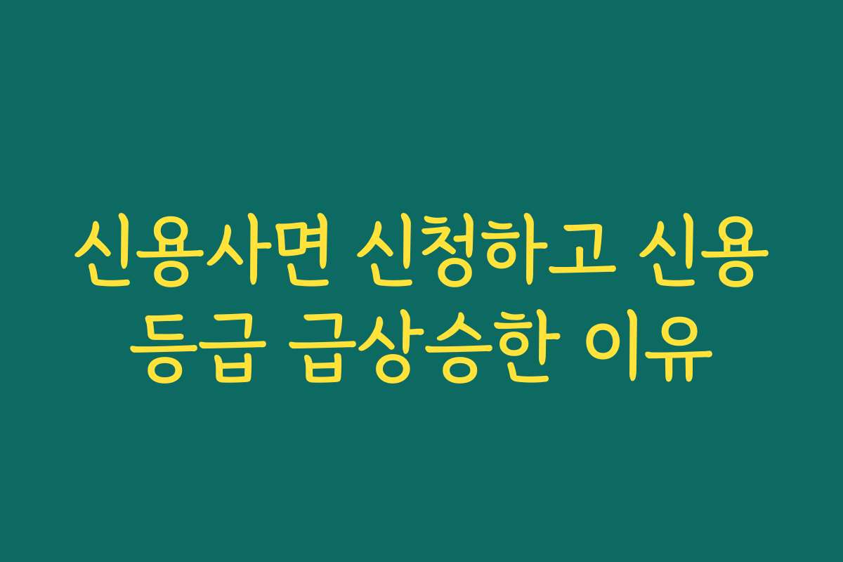 신용사면 신청하고 신용등급 급상승한 이유