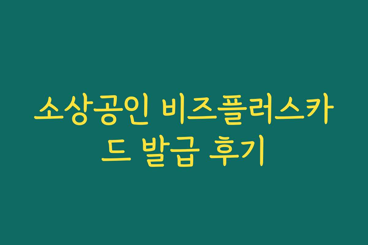 소상공인 비즈플러스카드 발급 후기