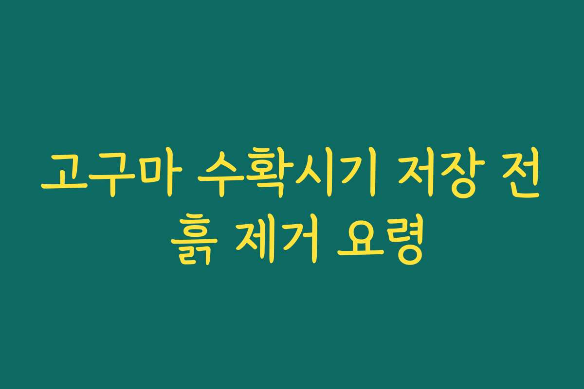 고구마 수확시기 저장 전 흙 제거 요령