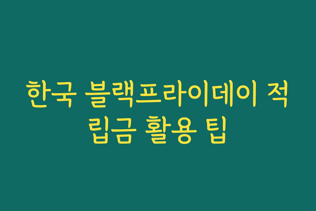 한국 블랙프라이데이 적립금 활용 팁
