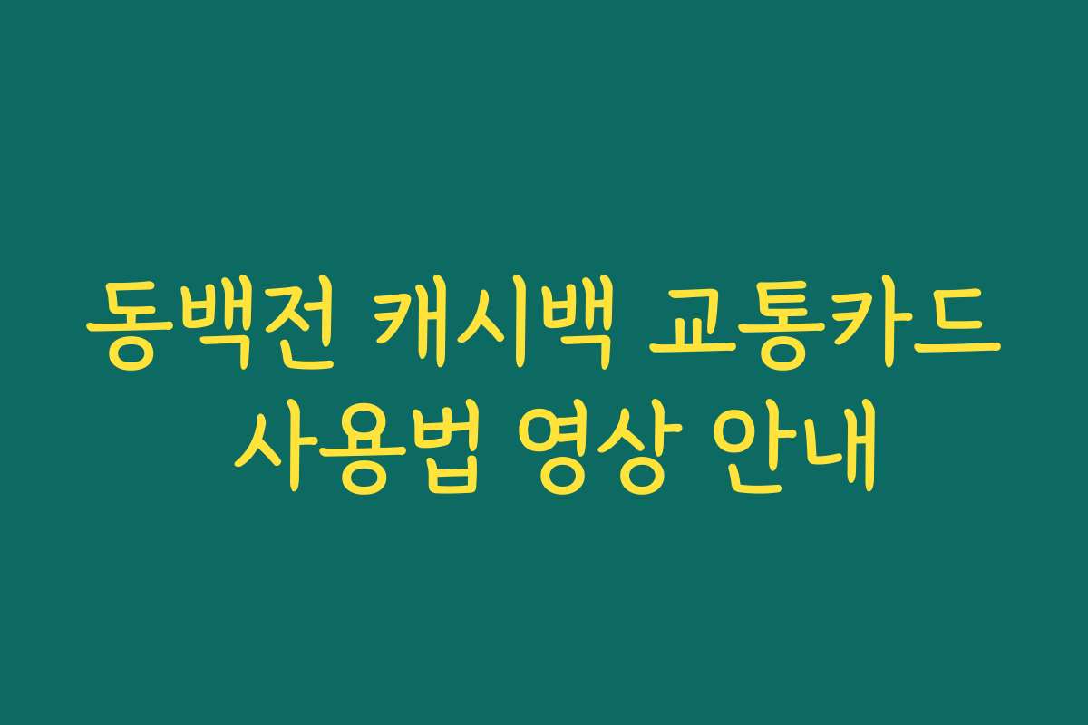 동백전 캐시백 교통카드 사용법 영상 안내 동백전 캐시백 교통카드 사용법 영상 안내
