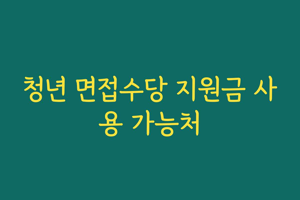 청년 면접수당 지원금 사용 가능처 청년 면접수당 지원금 사용 가능처