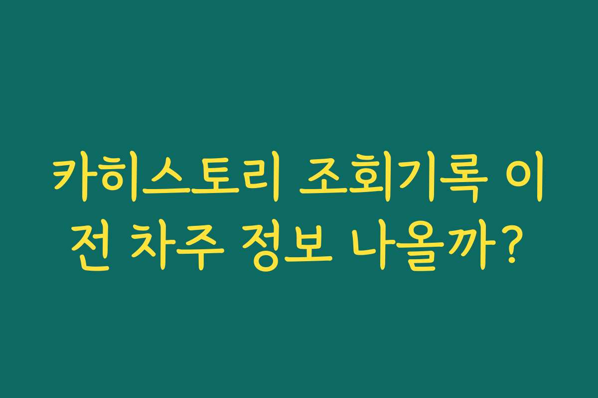 카히스토리 조회기록 이전 차주 정보 나올까? 카히스토리 조회기록 이전 차주 정보 나올까?