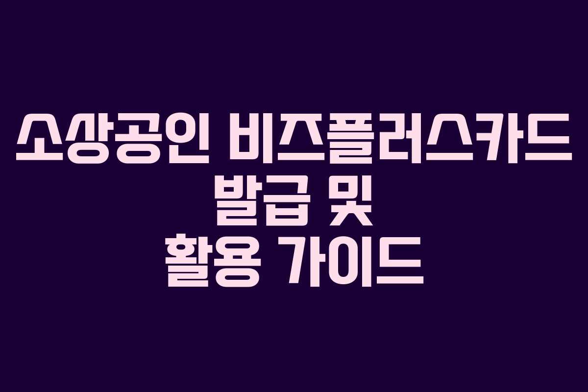 소상공인 비즈플러스카드 발급 및 활용 가이드 소상공인 비즈플러스카드 발급 및 활용 가이드