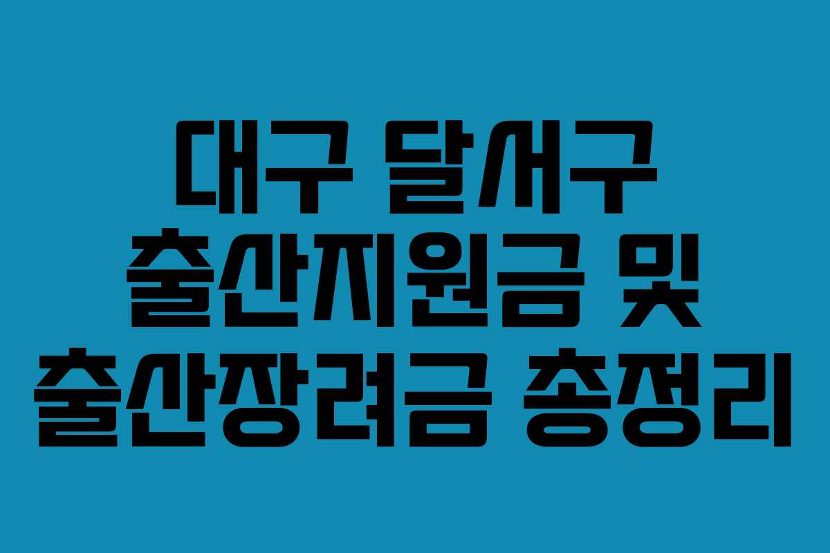 대구 달서구 출산지원금 및 출산장려금 총정리 대구 달서구 출산지원금 및 출산장려금 총정리