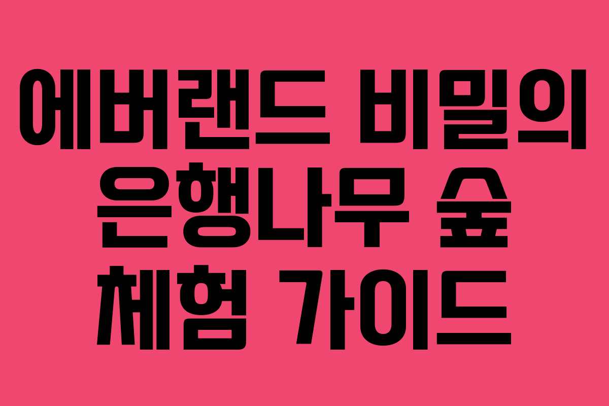 에버랜드 비밀의 은행나무 숲 체험 가이드 에버랜드 비밀의 은행나무 숲 체험 가이드