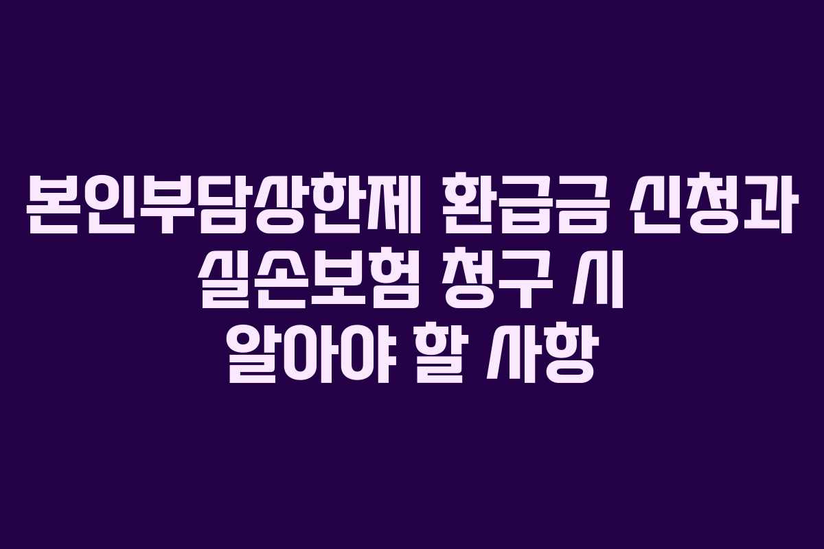 본인부담상한제 환급금 신청과 실손보험 청구 시 알아야 할 사항