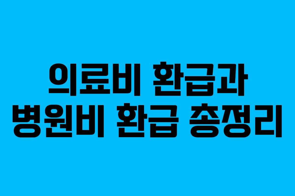 의료비 환급과 병원비 환급 총정리 의료비 환급과 병원비 환급 총정리