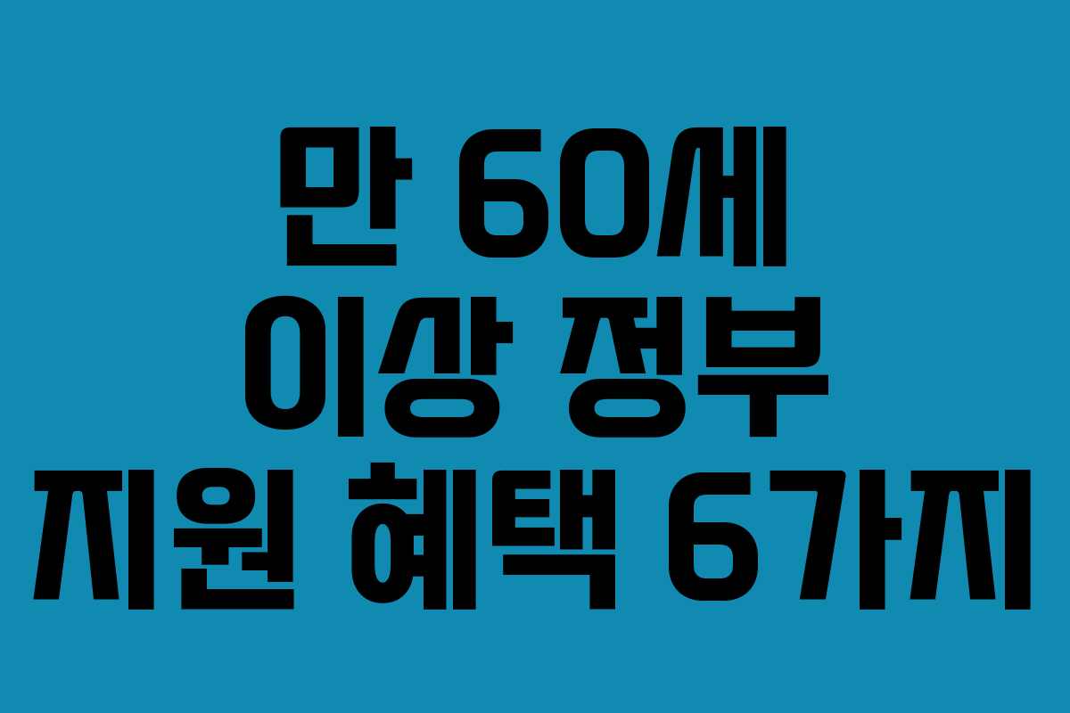 만 60세 이상 정부 지원 혜택 6가지 만 60세 이상 정부 지원 혜택 6가지