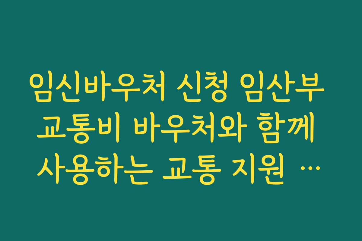 임신바우처 신청 임산부 교통비 바우처와 함께 사용하는 교통 지원 정책 모음