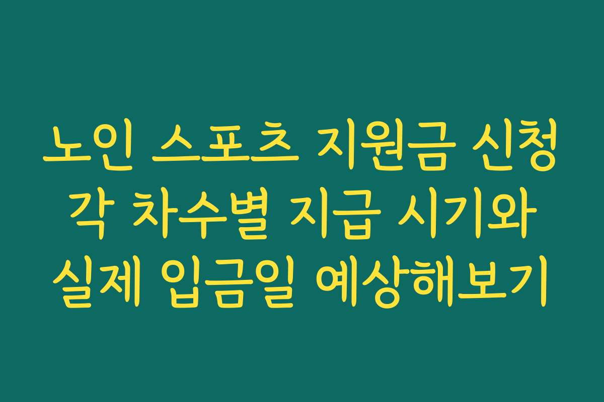 노인 스포츠 지원금 신청 각 차수별 지급 시기와 실제 입금일 예상해보기