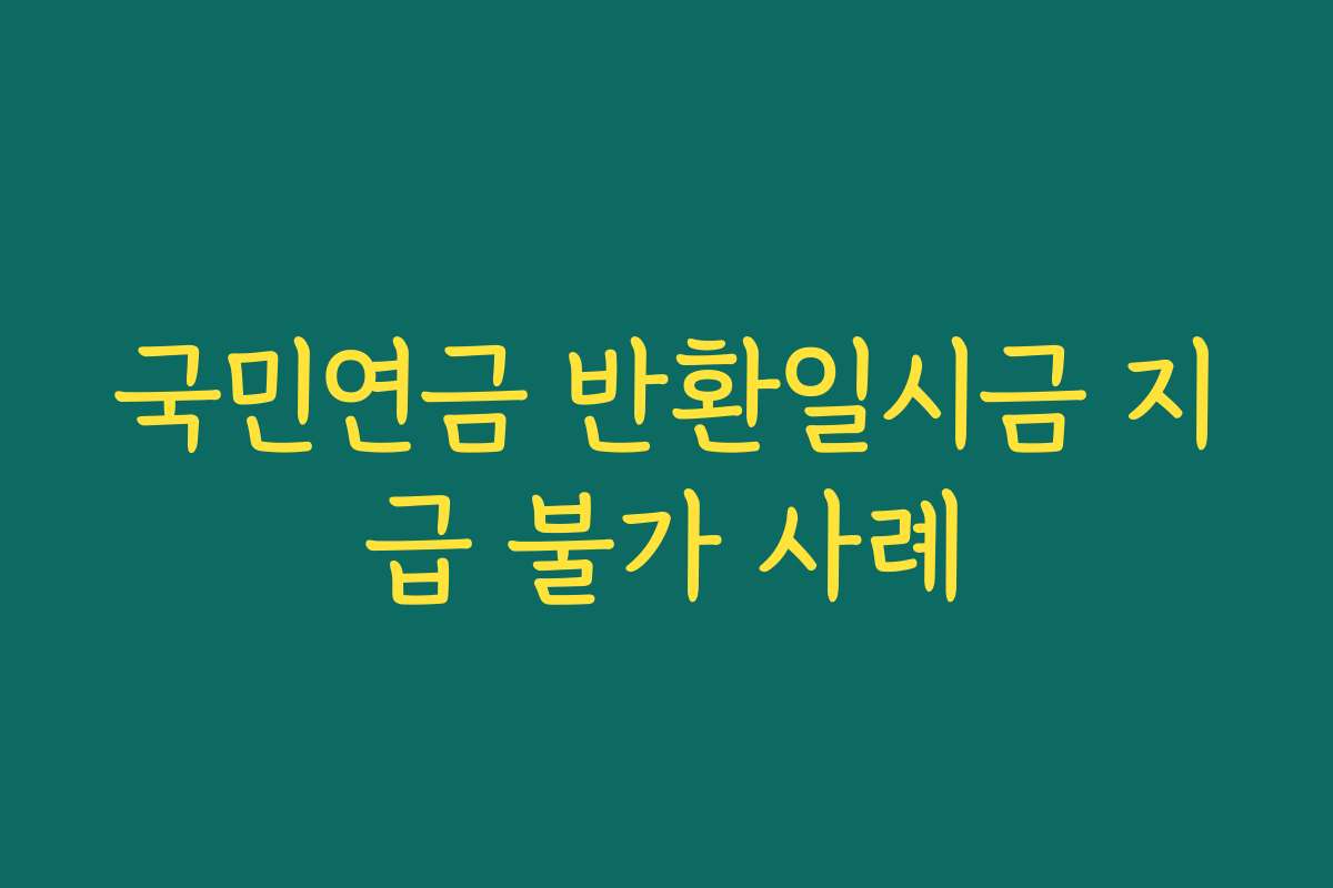 국민연금 반환일시금 지급 불가 사례