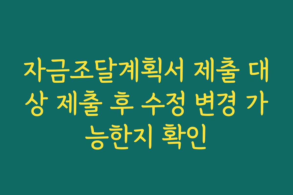 자금조달계획서 제출 대상 제출 후 수정 변경 가능한지 확인