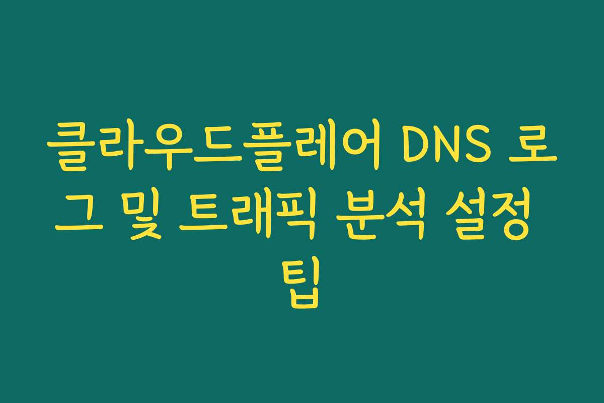 클라우드플레어 DNS 로그 및 트래픽 분석 설정 팁