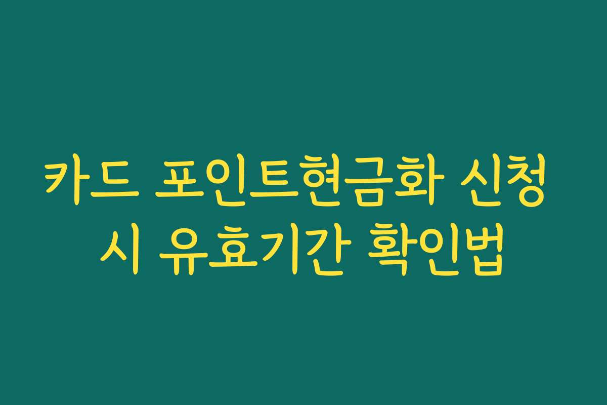 카드 포인트현금화 신청 시 유효기간 확인법